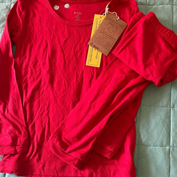 Kyte Baby NEW 2022 Holiday red Cardinal 2pc Toddler long sleeve pjs size 3 - Picture 5 of 5